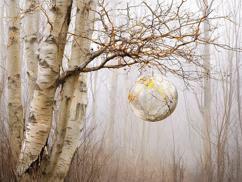 Birch cradle by Golden Silence by Karina Brouwer