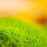 Abstract groen