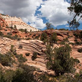 Zion National Park Arizona USA van Jan de Jong