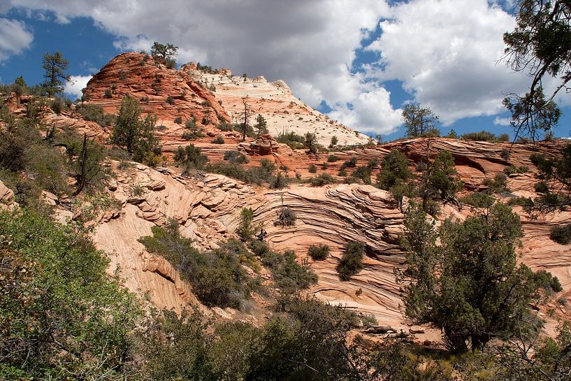 Zion-Nationalpark Arizona USA von Jan de Jong