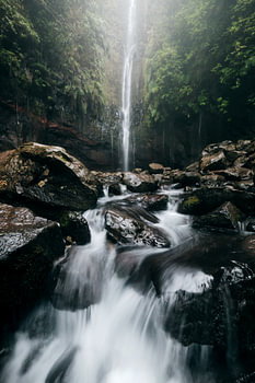 Madeira