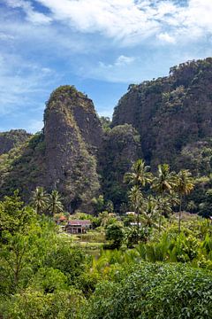 Huis tussen jungle van Indonesië. van Floyd Angenent