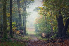 Painterly Dutch forest by Roelie Steinmann