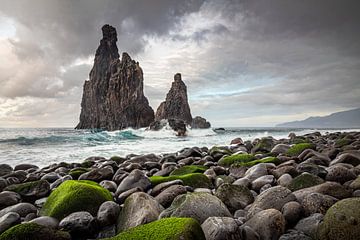 De wachters van de zee I | Ribeira da Janela | Madeira van Daan Duvillier | Dsquared Photography