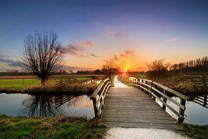 Polderpark Cronesteyn Sonnenuntergang von Dennis van de Water