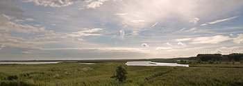 Oostvaardersplassen