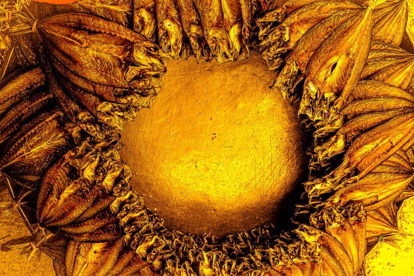 Krabbeltiere in einer Diskussionsrunde. von kall3bu