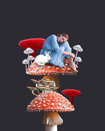 Wonderland van Paddestoelen