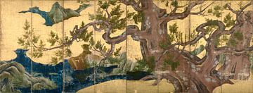Zypressenbäume, Kano Eitoku