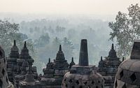 Ein mystischer Moment am Borobudur von Juriaan Wossink Miniaturansicht