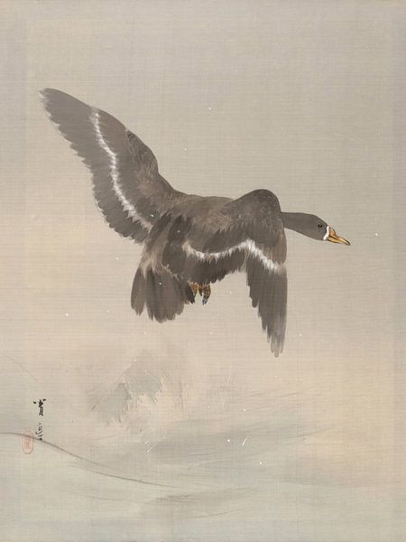 Watanabe Seitei - Oie volante (1887) par Peter Balan