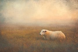 Moutons dans une prairie brumeuse sur Imperial Art House