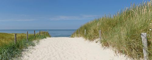 Pad door de duinen naar het strand.