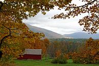 Herbst in Vermont von Borg Enders Miniaturansicht