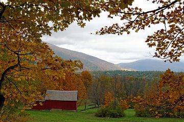 Herfst in Vermont van Borg Enders