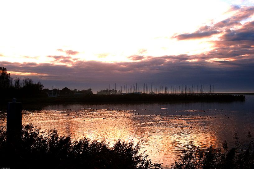 Evening light over the water at Almere Poort. by Brian Morgan