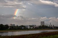 Regenboog