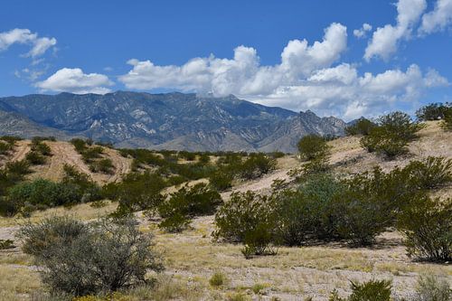 Views of the Pinaleno Mountains