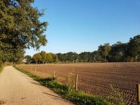 Landschap in de Achterhoek