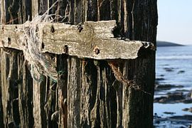 kijkje op de Waddenzee
