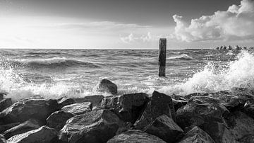 Tijdloze Kracht van Water: Zwart-wit Fotografie van een Stoere Meerpaal van Hevonax Photography