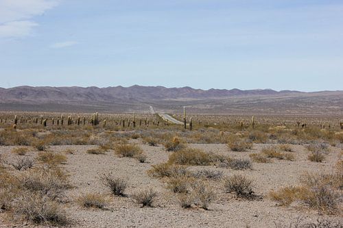 Die unendliche Ebene