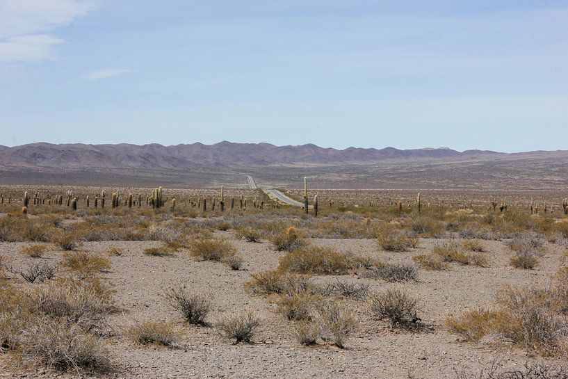De Oneindige Vlakte van Rominique Kea