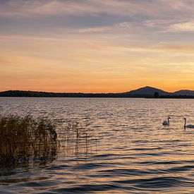 Swan Lake by Frank Peters