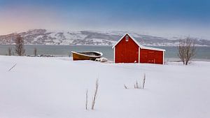 Rote Hütte im Schnee, Norwegen
