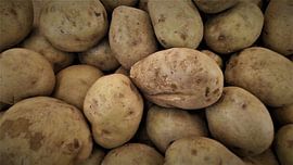 Erde's Reichtümer: Rustikaler Kartoffelhaufen