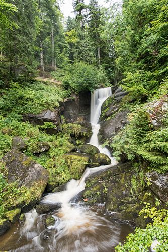 Waterval Triberg Duitsland