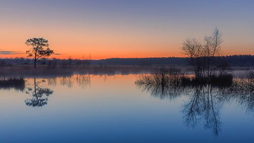 Zonsopkomst in het Nationaal Park Dwingelderveld