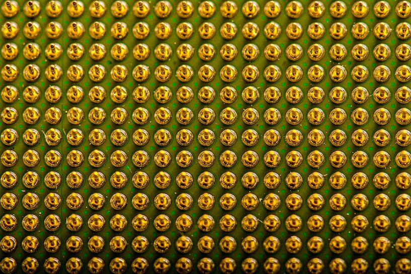 Processor pins in gold - macro shot by Alexander Baumann