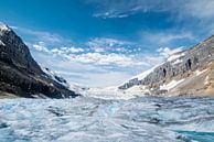 Athabasca Gletsjer von Peter Vruggink Miniaturansicht