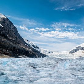 Athabasca Glacier by Peter Vruggink