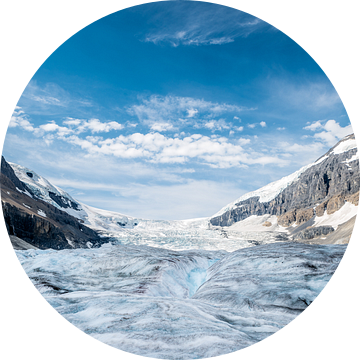Athabasca Gletsjer van Peter Vruggink