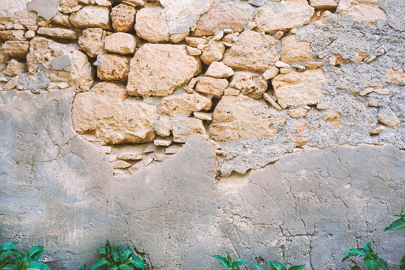 Greece Wall van -BLOOS-