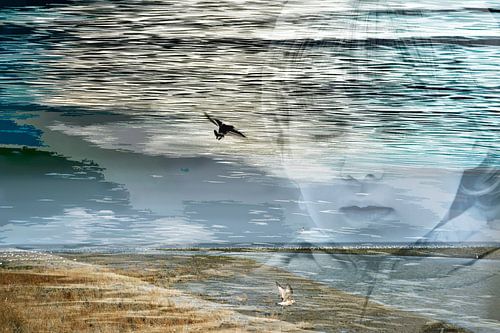 In mijn dromen kan ik vliegen