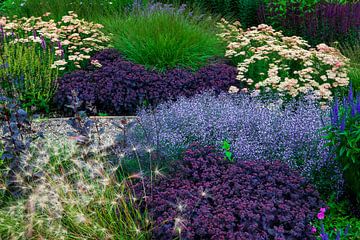 Dove Cottage Tuin, Halifax, Engeland van Lieuwe J. Zander