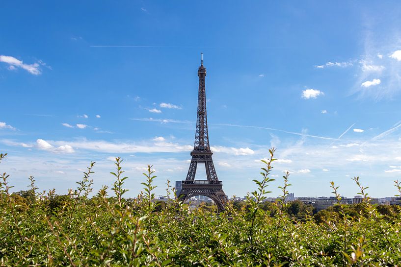 Paris Eiffelturm von Patrick Löbler