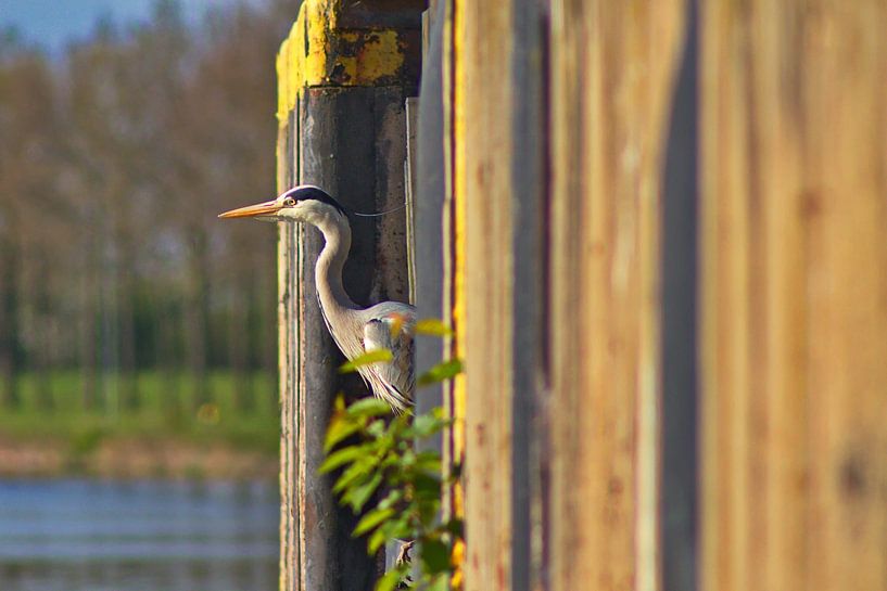 New lock keeper by Christian Harms