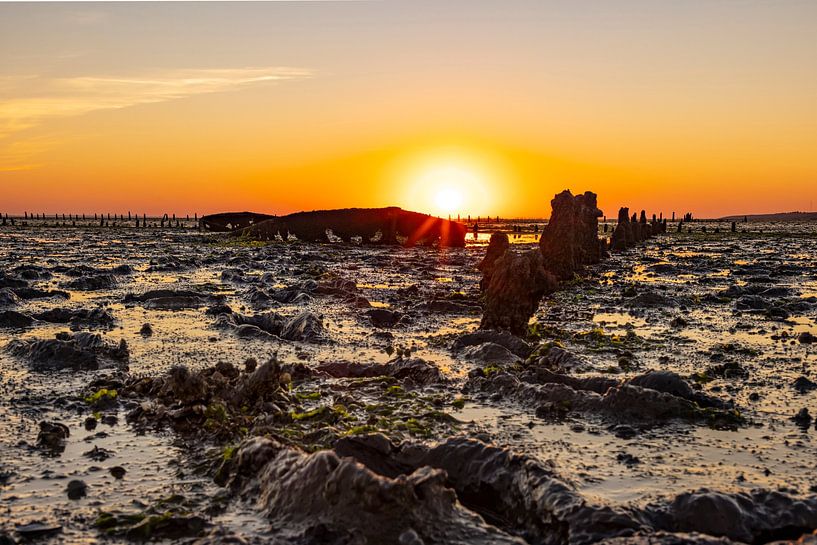 Wadden Sea, sunrise at Paesens Moddergat (Shipwreck of Wierum) by Gert Hilbink