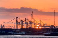Haven Rotterdam bij zonsondergang van Roel Dijkstra thumbnail