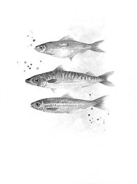 Fisch in Schwarz und Weiß von Atelier DT