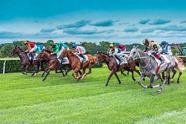 BEIM PFERDERENNEN von Christian Schmidt
