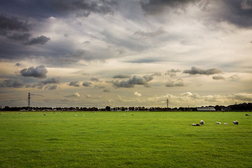 Hollands landschap von Victor van Dijk