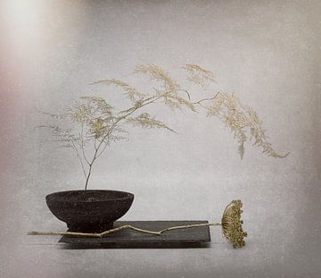 Awarded Zen still-life with a touch of gold .