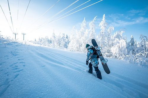 Winterlandschap met besneeuwde bomen en sneeuwborder