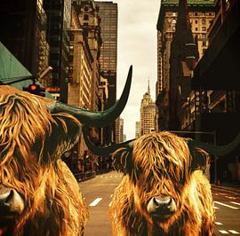 Highlanders in New York by ! Grobie
