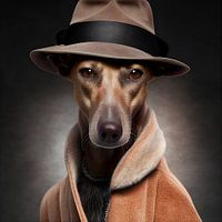 Armani Hund